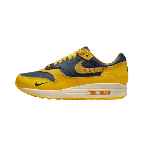 Nike Air Max 1 Michigan