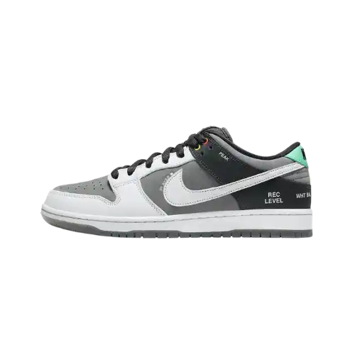 Nike SB Dunk Low VX 1000 Camcorder