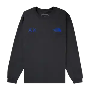 KAWS x The North Face Camiseta Long-Sleeve Asphalt Grey