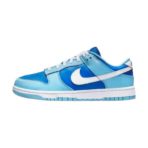Nike Dunk Low Argon
