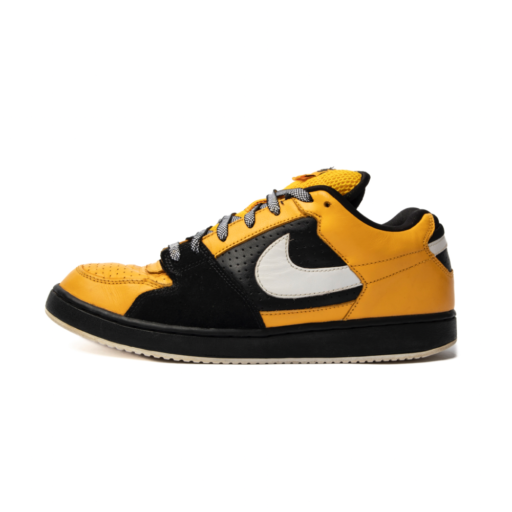 Nike sb hotsell team edition