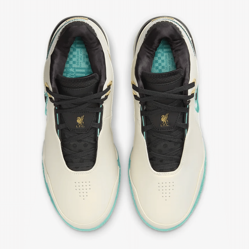 Nike LeBron NXXT Gen AMPD Light Orewood Brown Washed Teal foto 2
