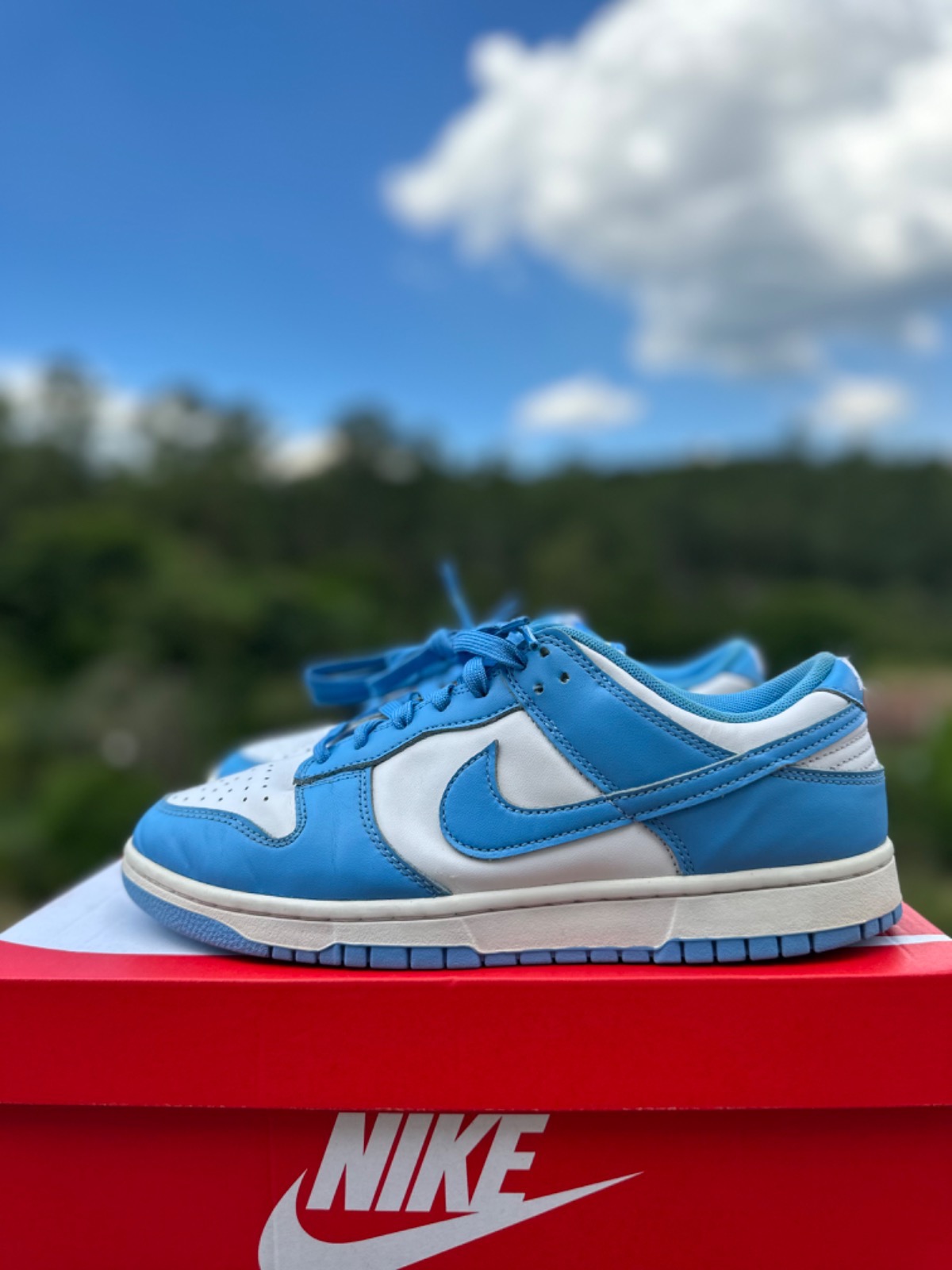 nike dunk low carolina