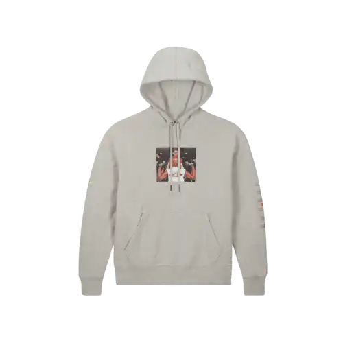 Undefeated x Jordan Moletom Weights Greyheather