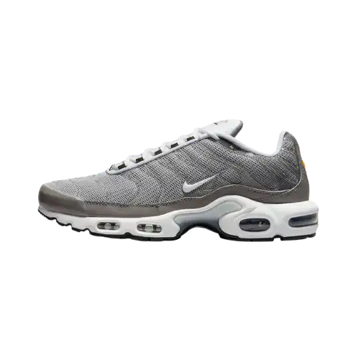 Nike Air Max Plus Flat Pewter