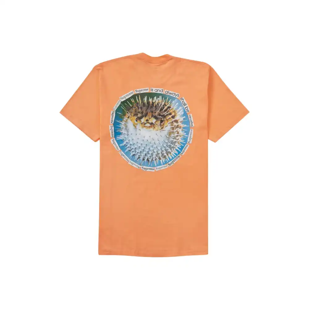 Camiseta Supreme Blowfish Peach foto 1