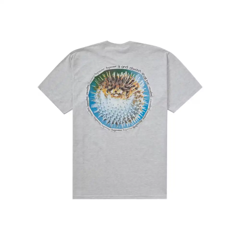 Camiseta Supreme Blowfish Ash Grey foto 1