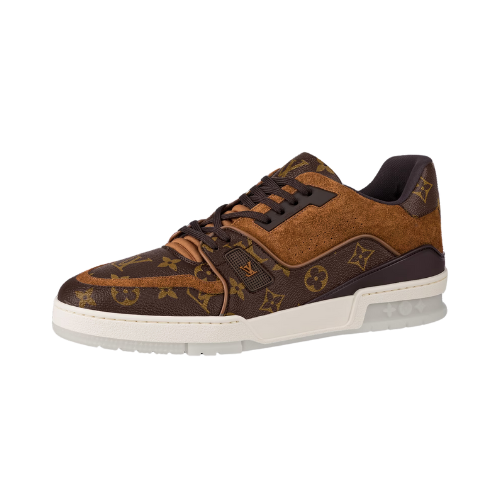 Louis Vuitton Trainer Low Monogram