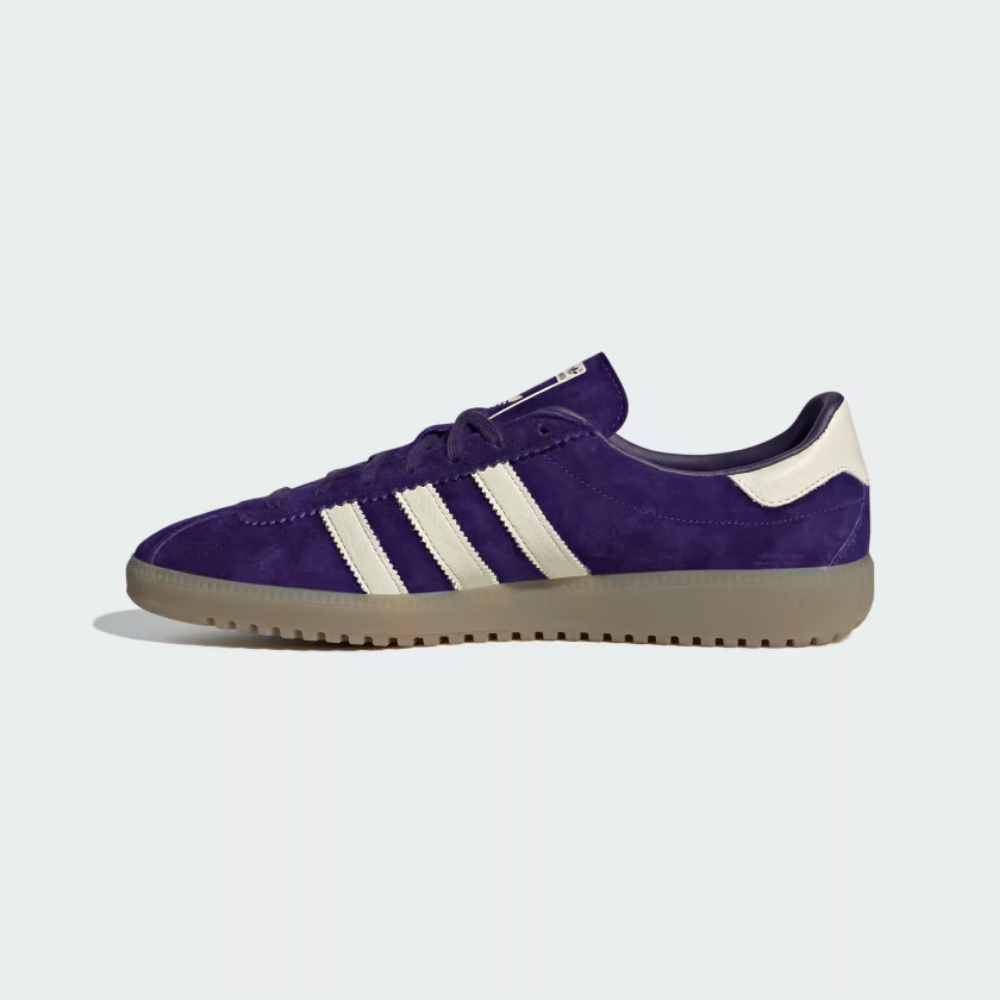 アムリターラ adidas Bermuda Collegiate Purple - Droper