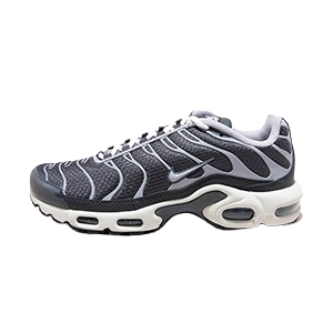 Nike Air Max Plus Greyscale Cool Grey