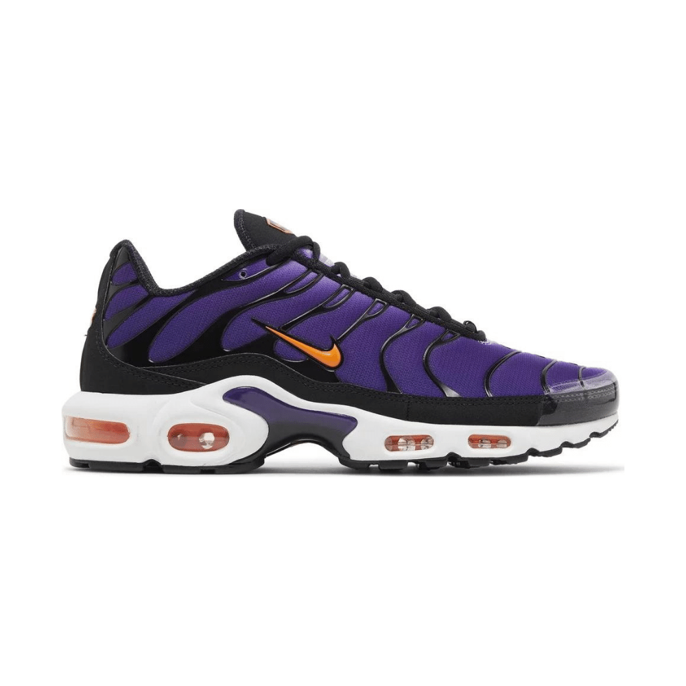 Nike air max plus sales purple og