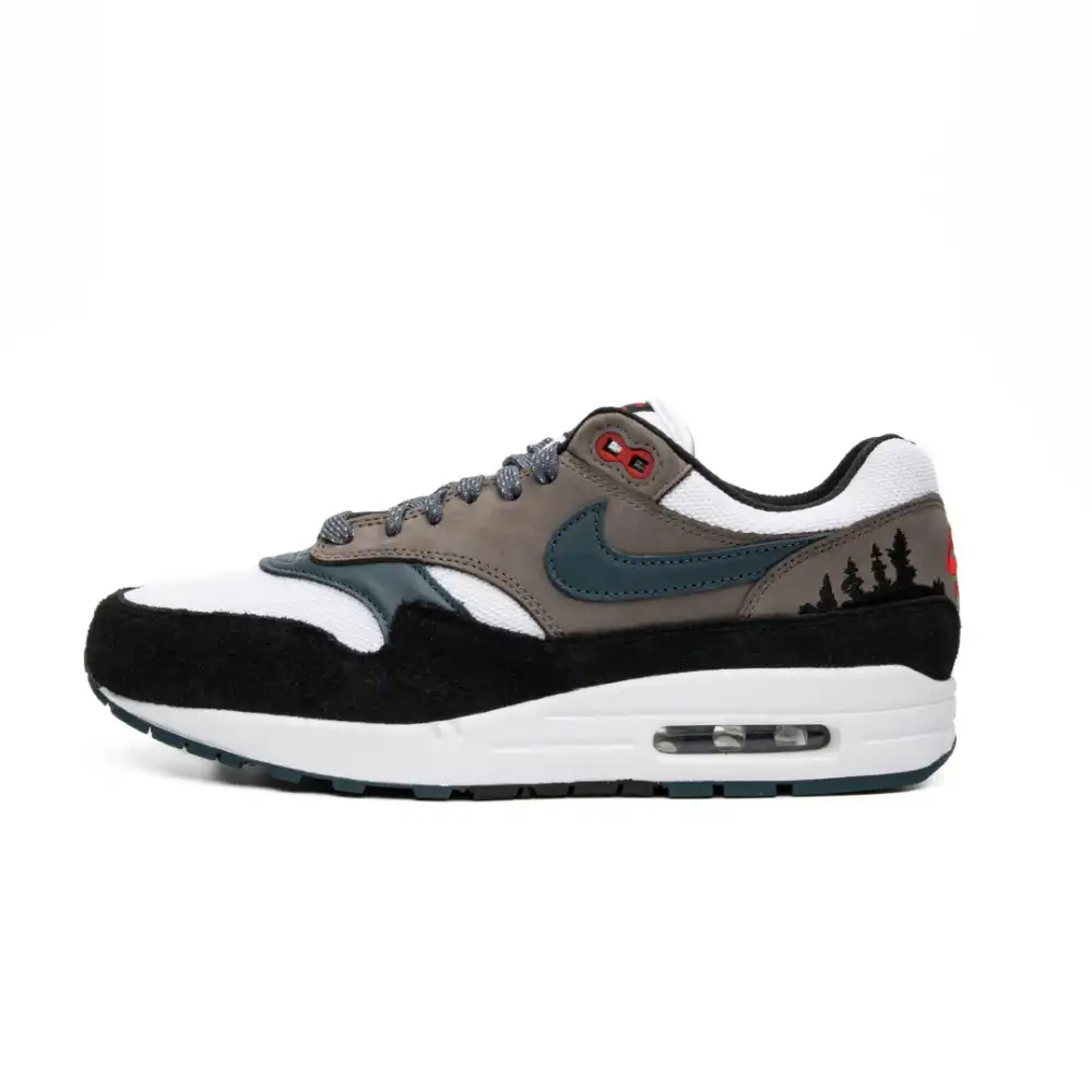 Nike air max skate 2024 shoes