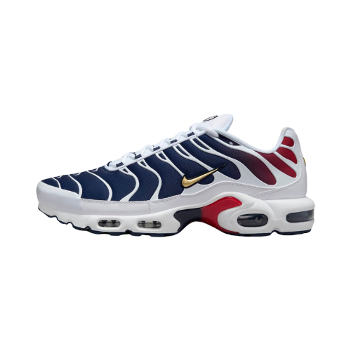 Nike Air Max Plus Paris Saint-Germain